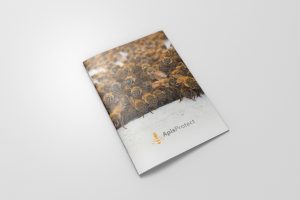 ApisProtect Brochure