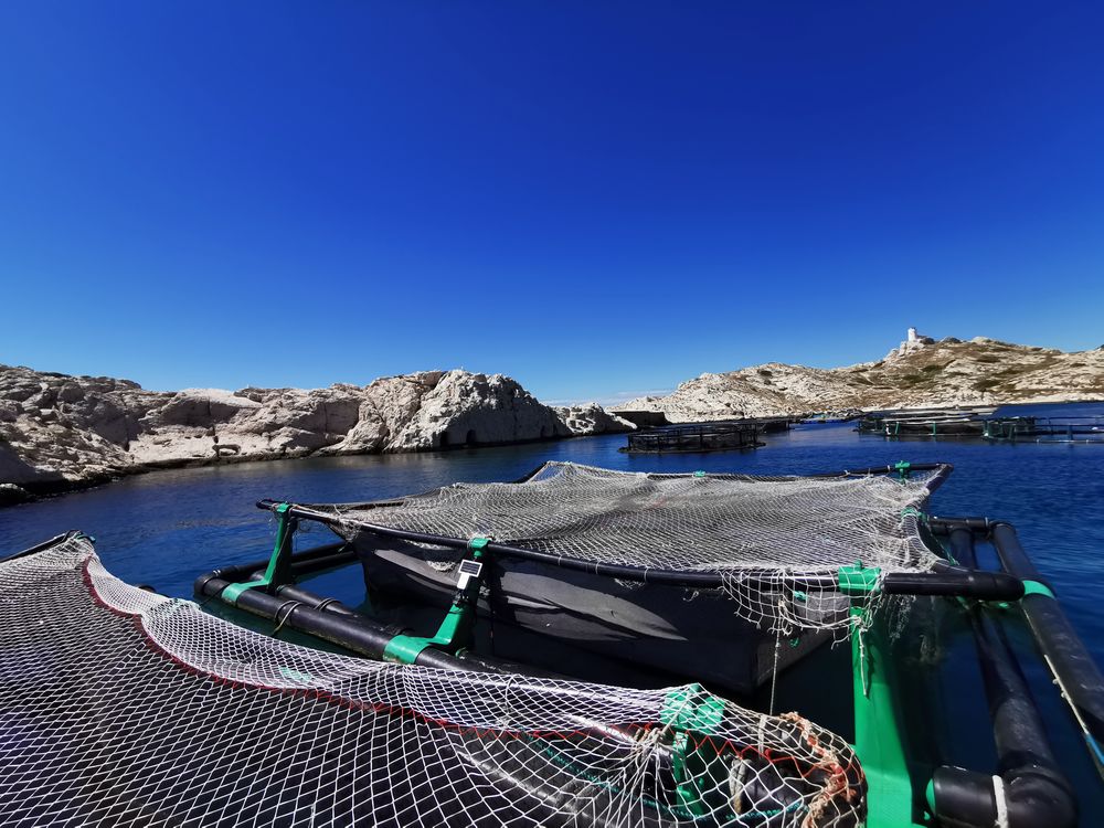 Bioceanor nets in the sea